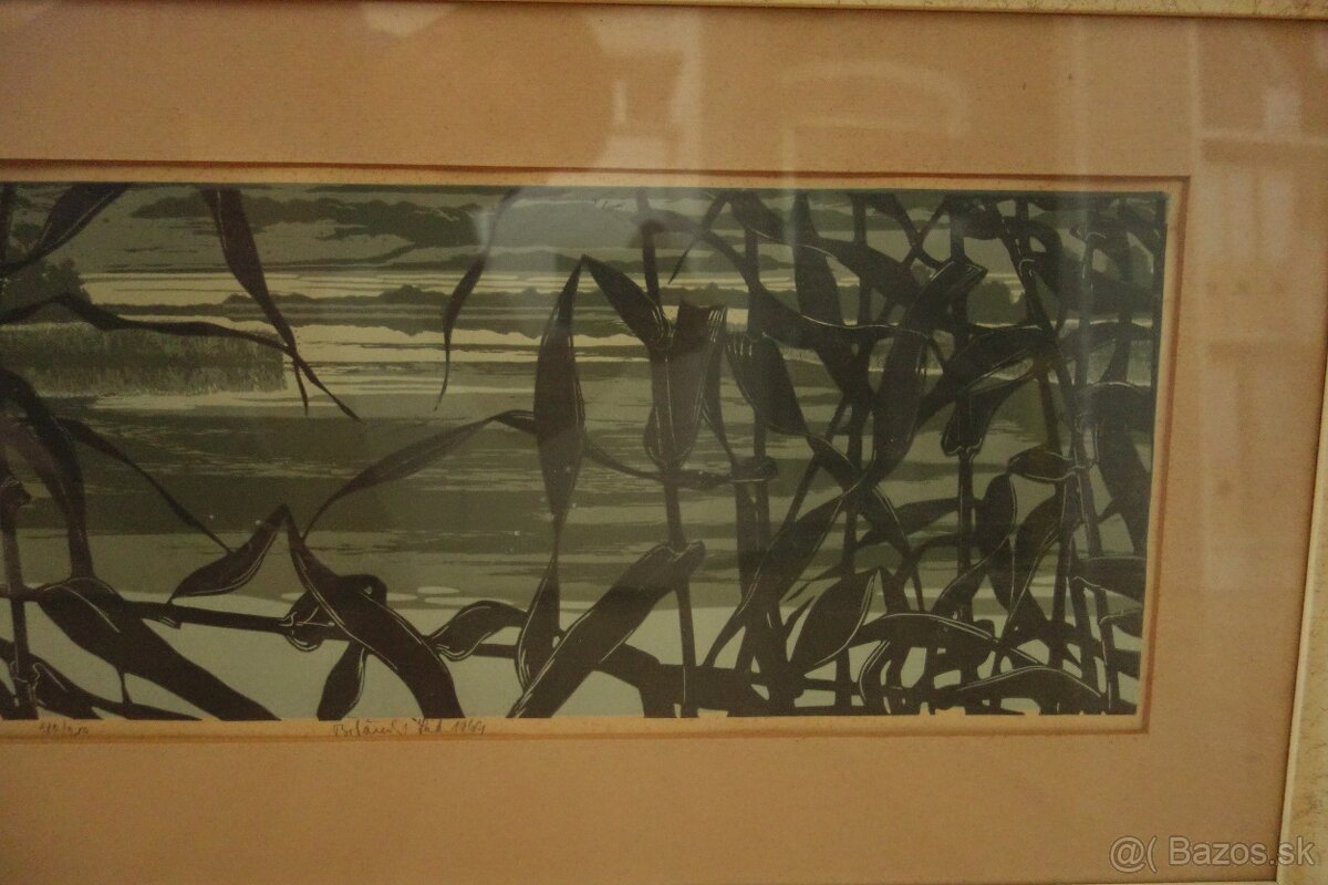 Obraz - Botanský - návrat - 13