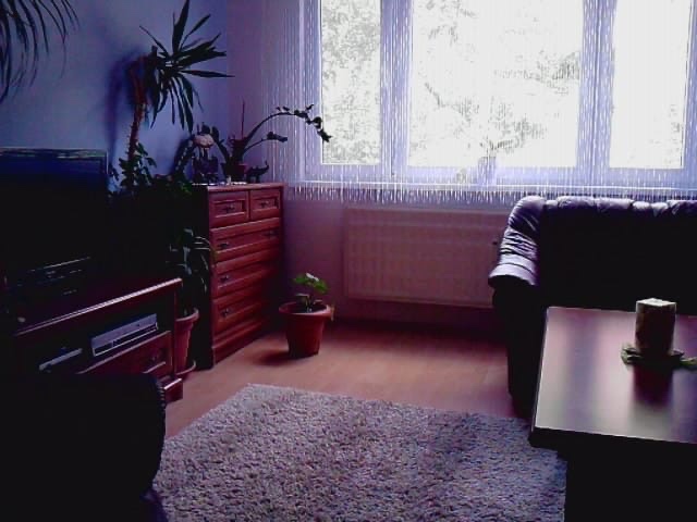 4-izbový byt - 13