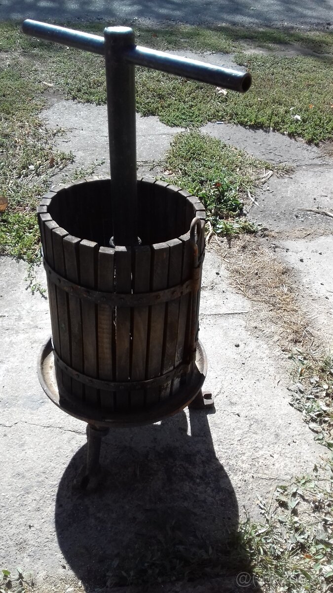 Lis na hrozno.Demižon . - 13
