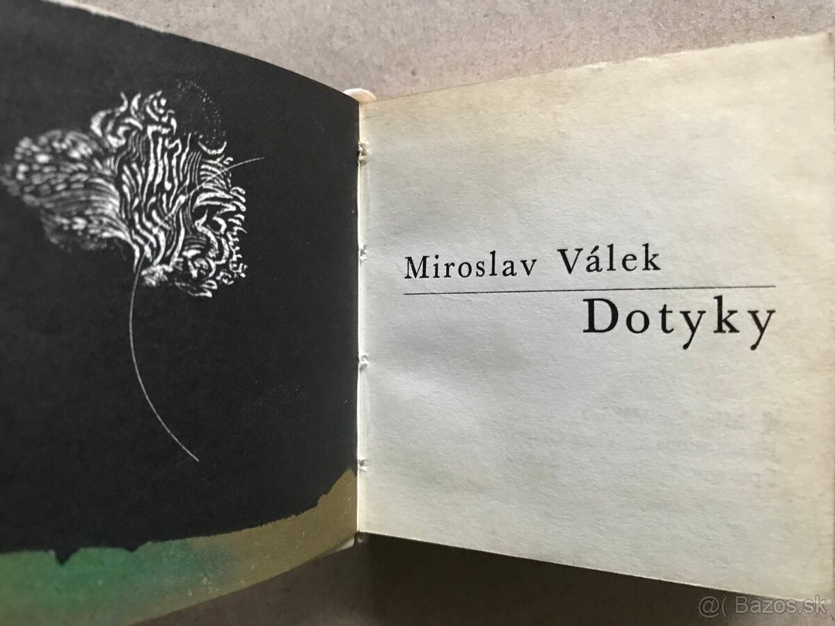 Jean Arthur Rimbaud: Le Bateau ivre, Edgar Allan Poe: Havran - 13