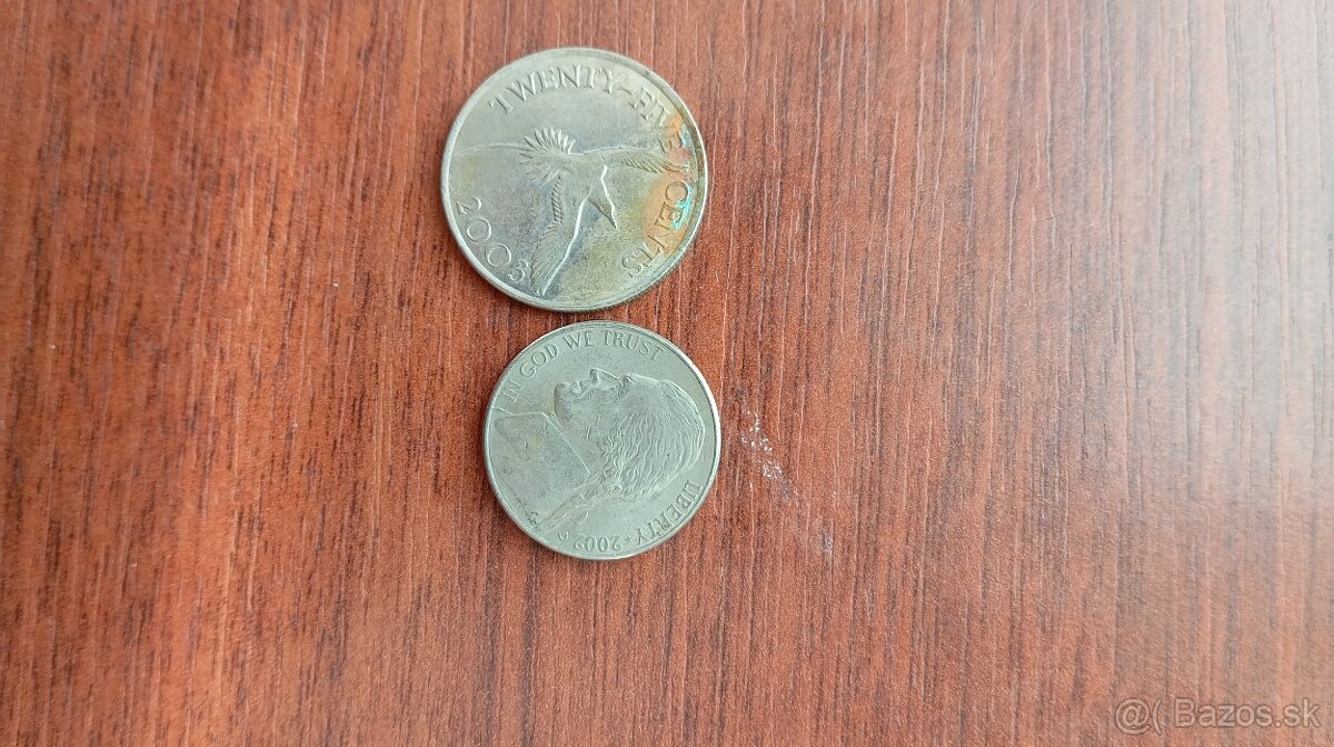 Mince - 13