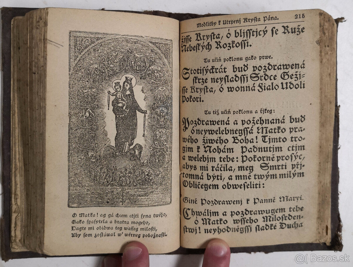 Stepná zahradka 1850 - 13