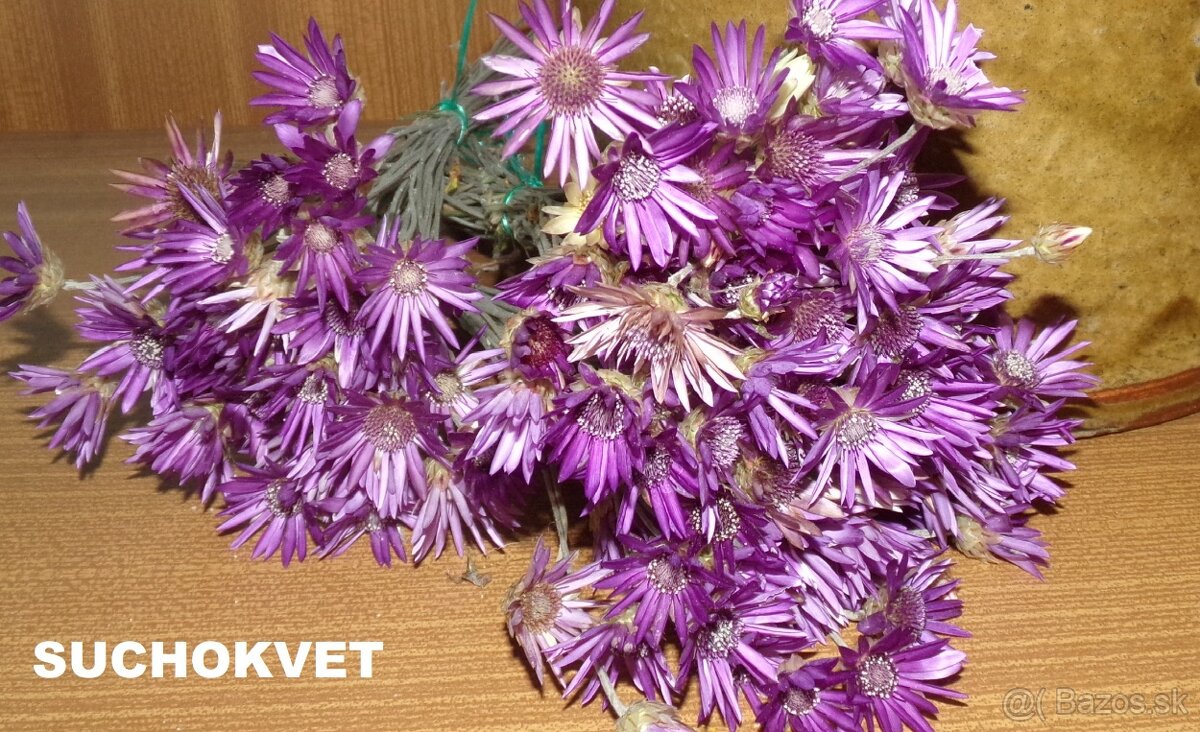 SUŠENÉ KVETY NA ĎALŠIU TVORBU - 13
