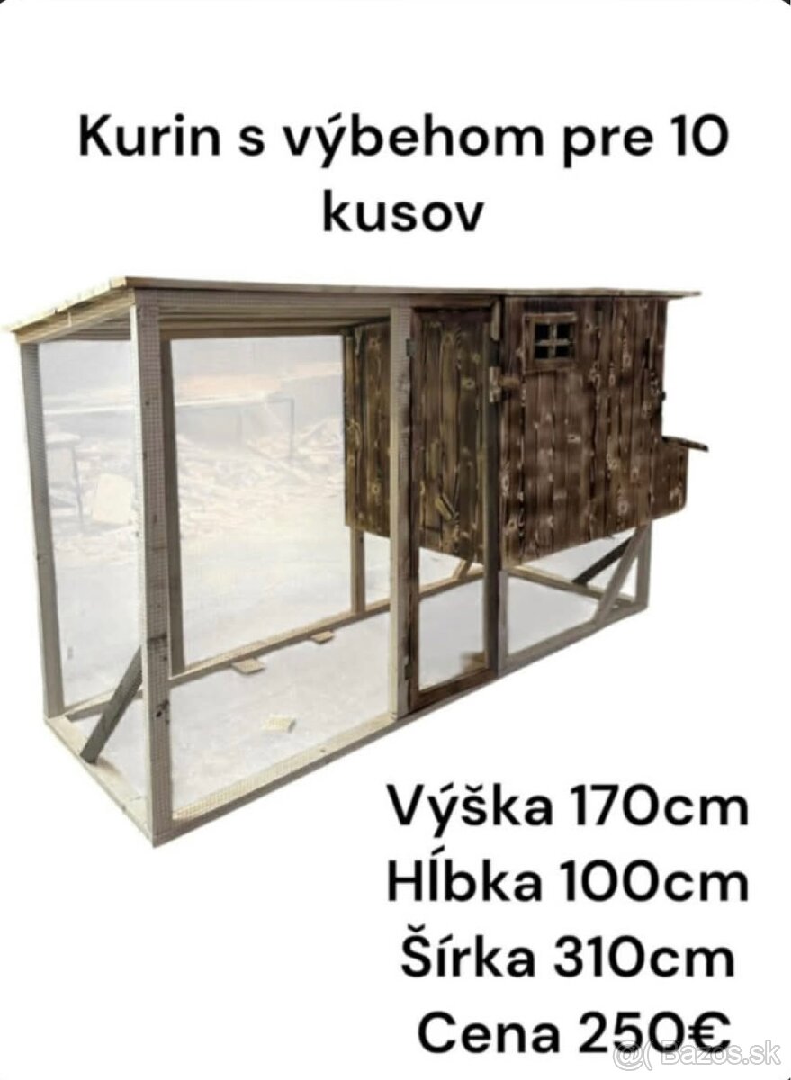 Kurin/kurnik - 13