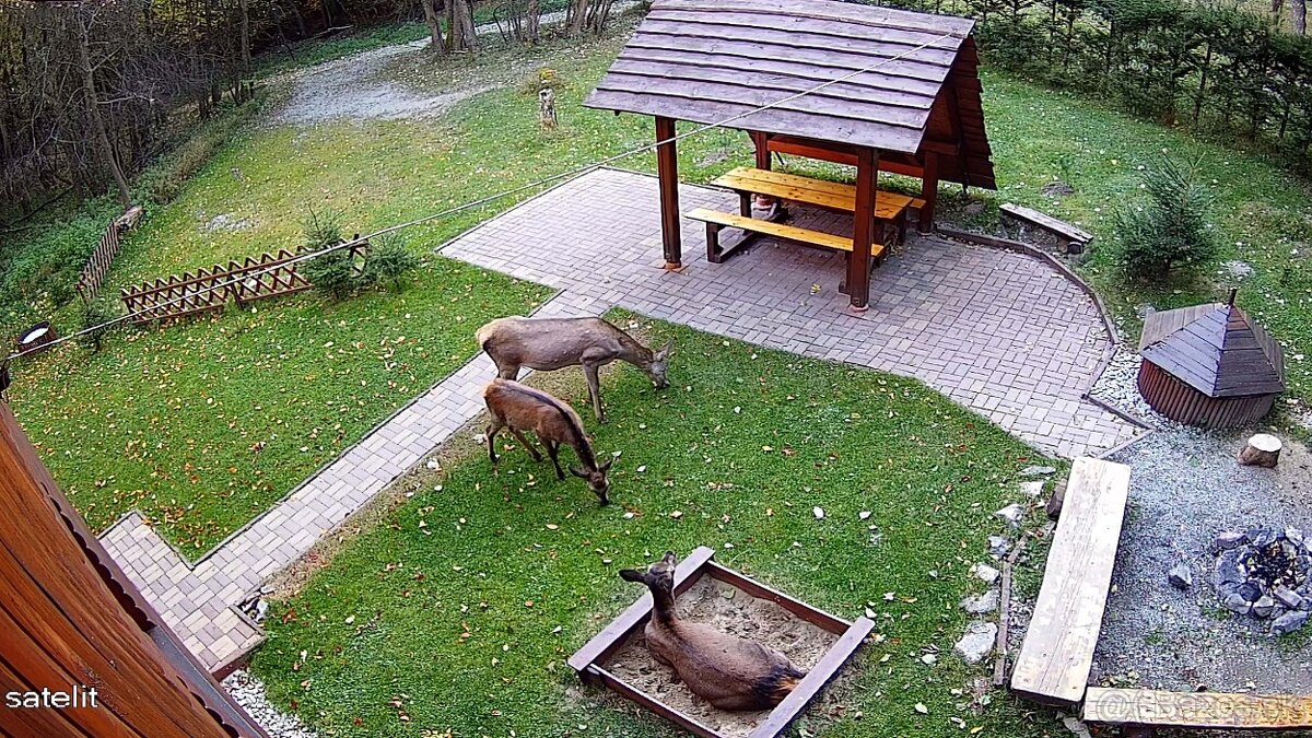 Rekreačná chata na predaj - Martin, Stráne - 13