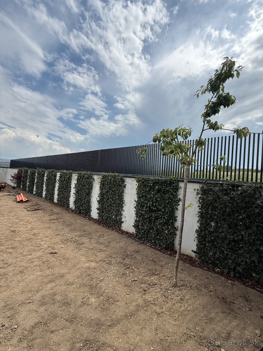 Kovovýroba Brany Ploty Konštrukcie zábradlia haly - 13