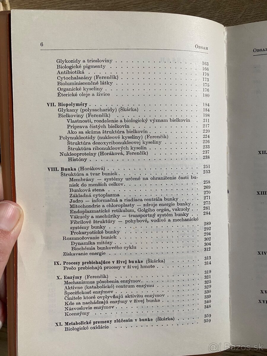 Biochémia - 13