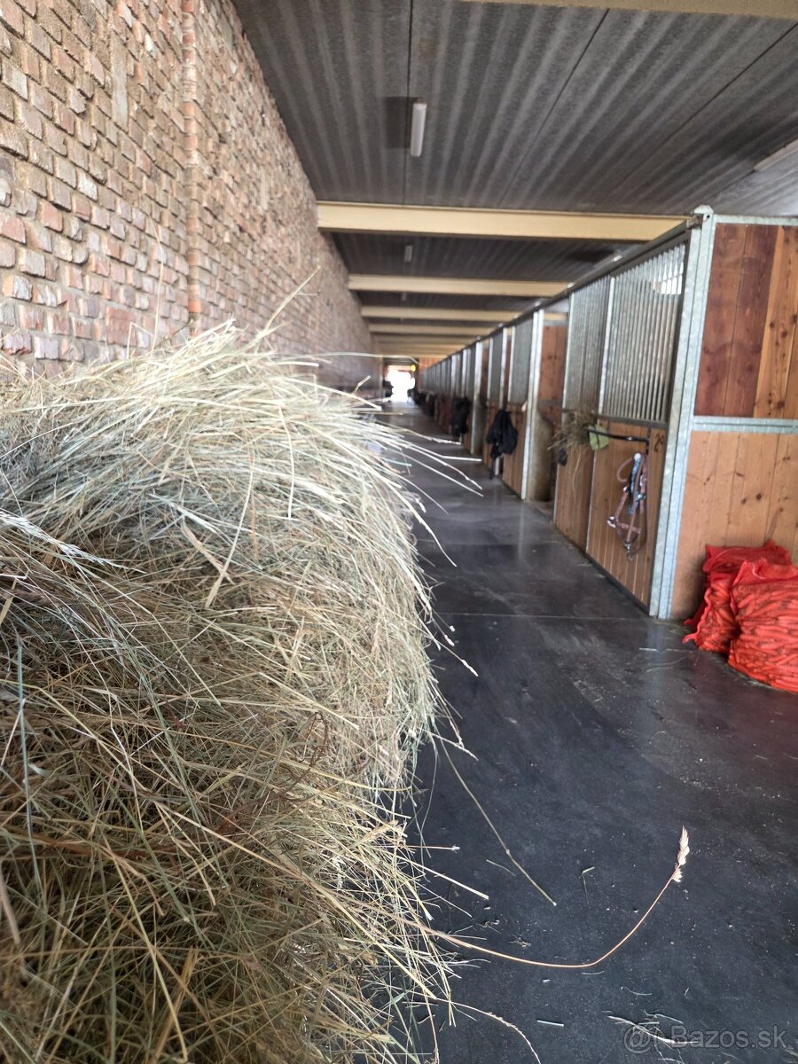 Ustajnenie Ranch 13 - 13