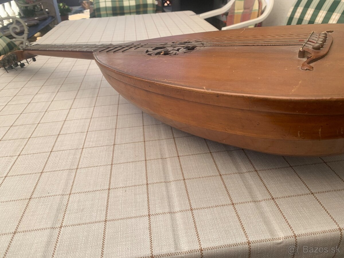 Mandolina - 13