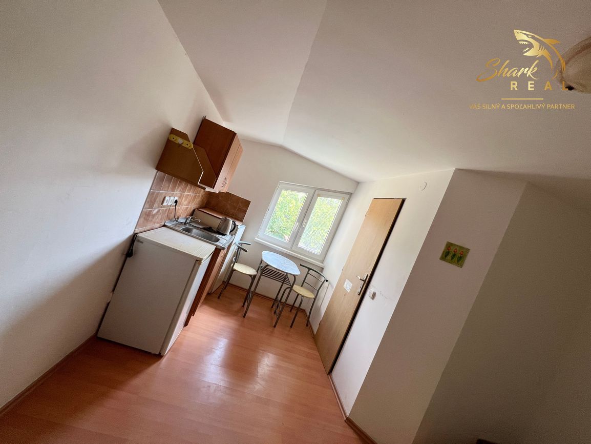 Penzión na predaj neďaleko termálneho kúpaliska Podhájska - 13