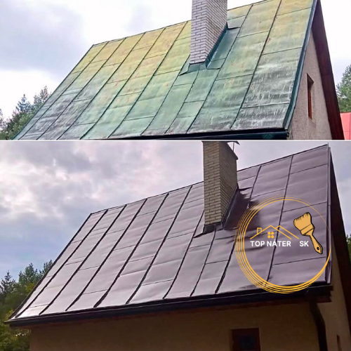 🟢✅Nátery striech za najlepšie ceny🟢✅ - 13