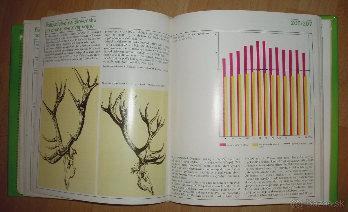 Naše poľovníctvo - 13