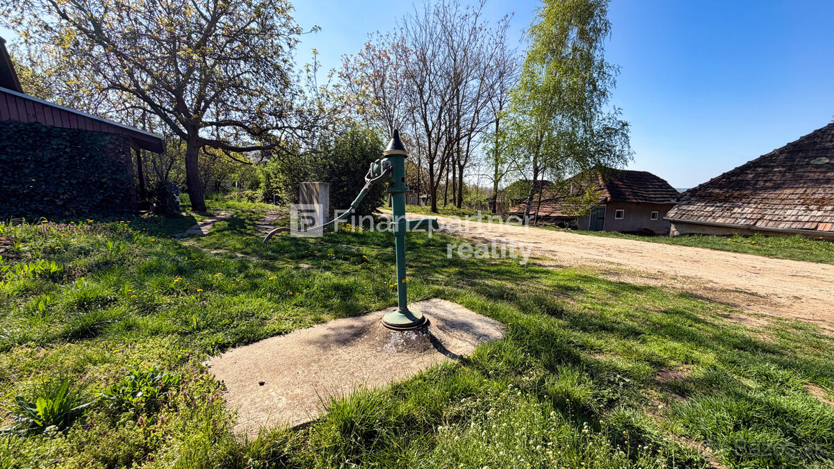 Záhrada 2190 m², Čechynce, Nitra - 13