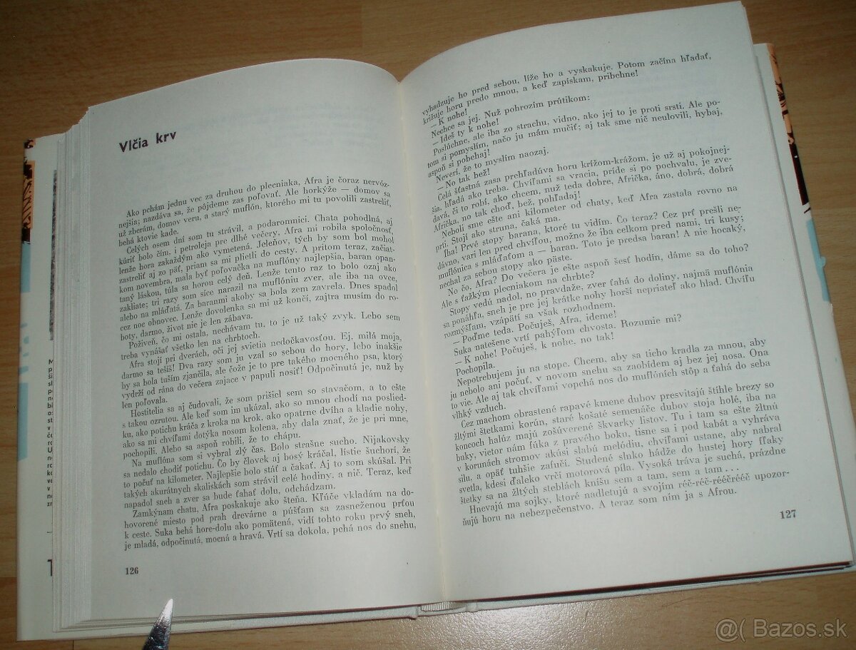Vlčia krv - 13