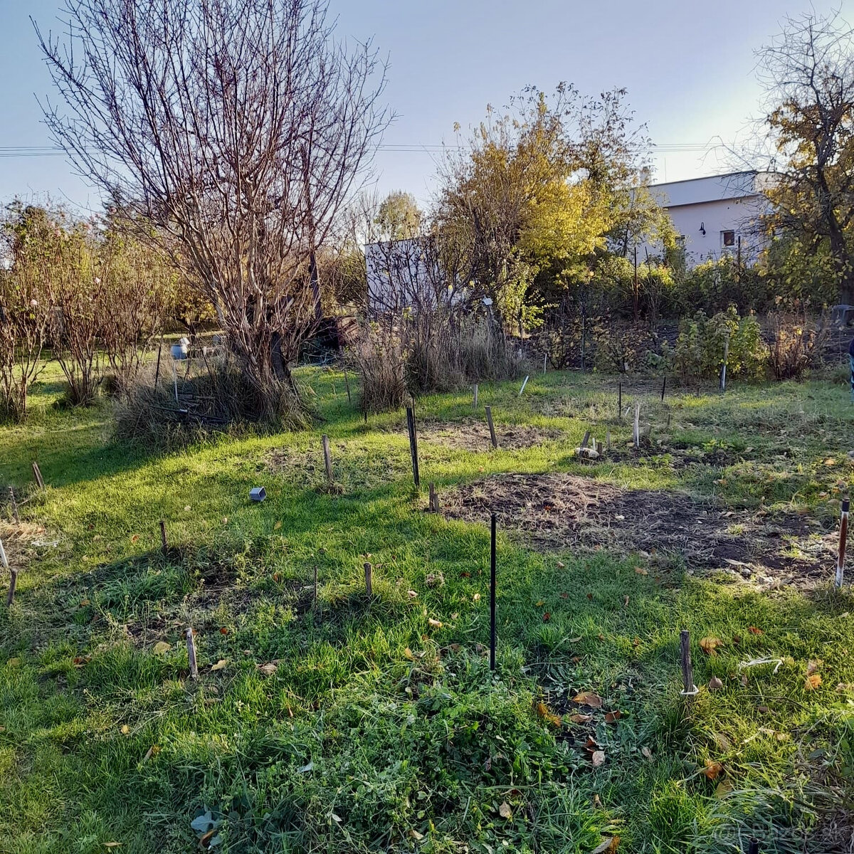 Výborná investičná príležitosť - 13