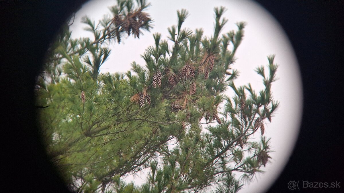 Ďalekohľad BPC 10X50 TENTO - 13