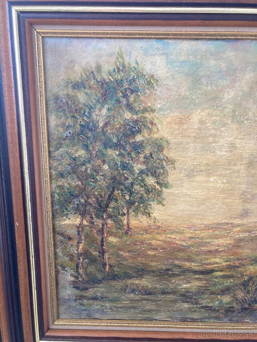 Obrazy starožitné - 13