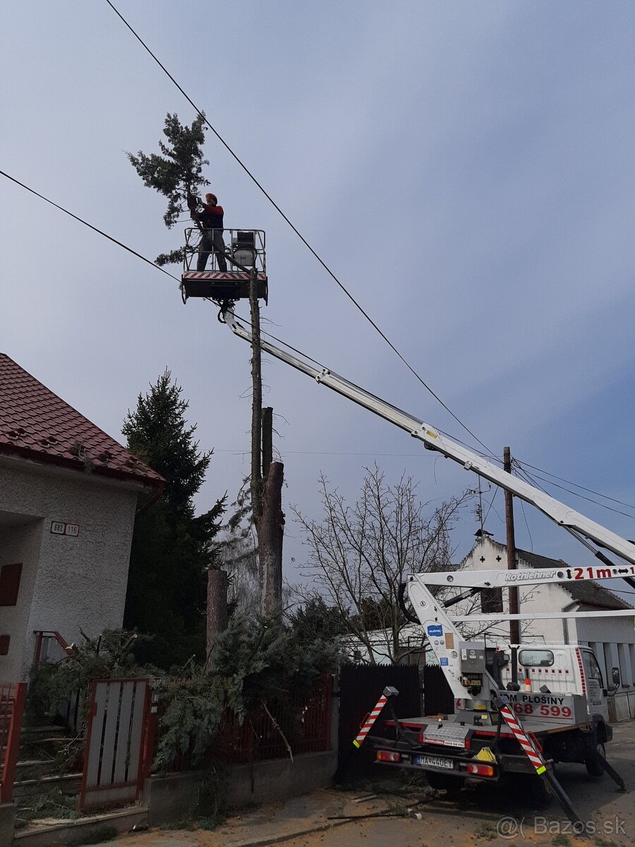 Pilenie stromov - 13