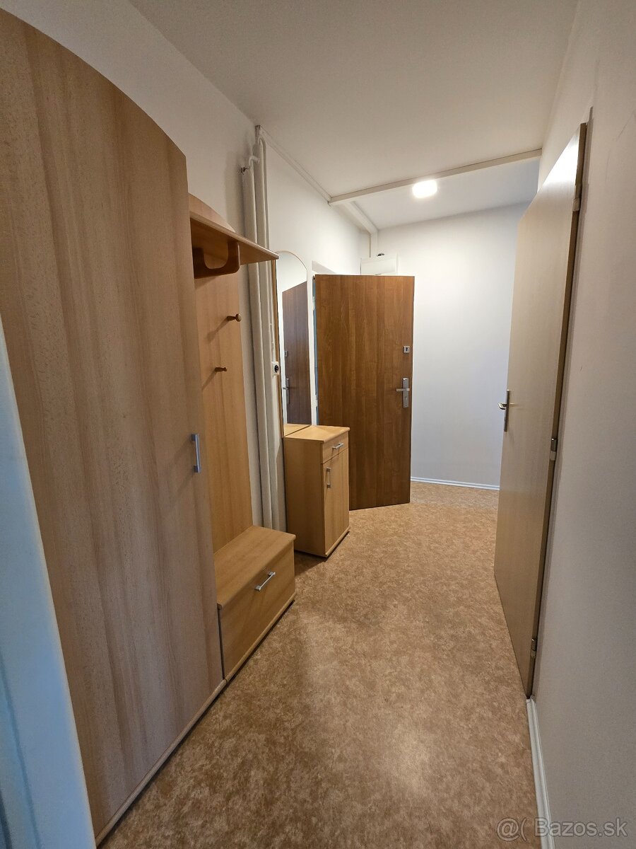 Prenájom 1 izbového bytu Západ Poprad - 13