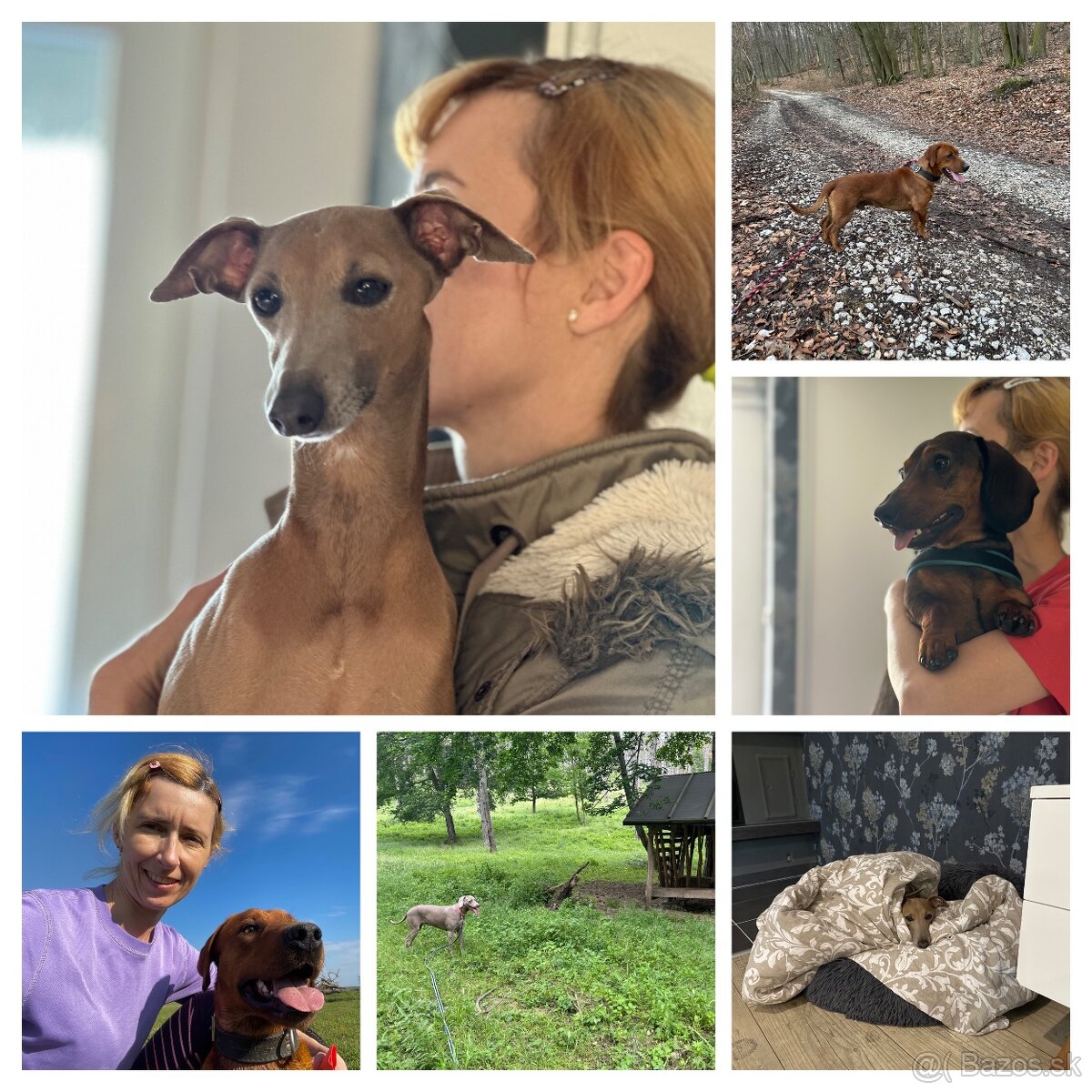 Stráženie psíkov - 13