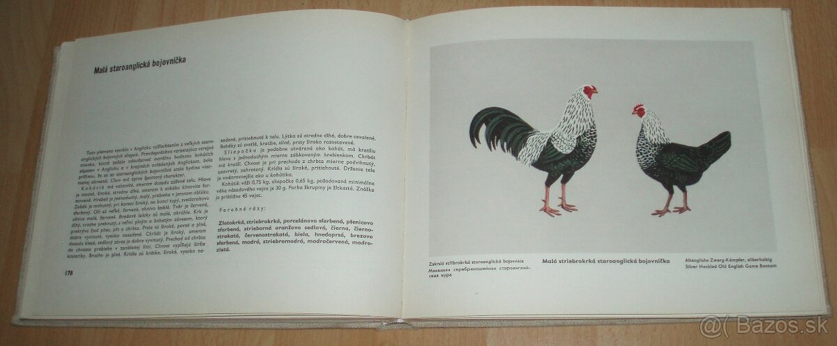 Atlas plemien hydiny - 13
