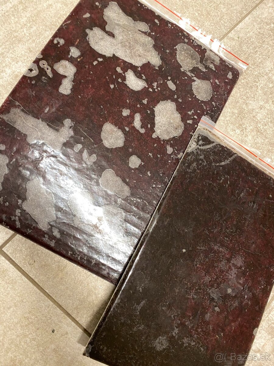 Artemie, discus mix, koretra, dafnie, mysis, hovězí srdce - 13