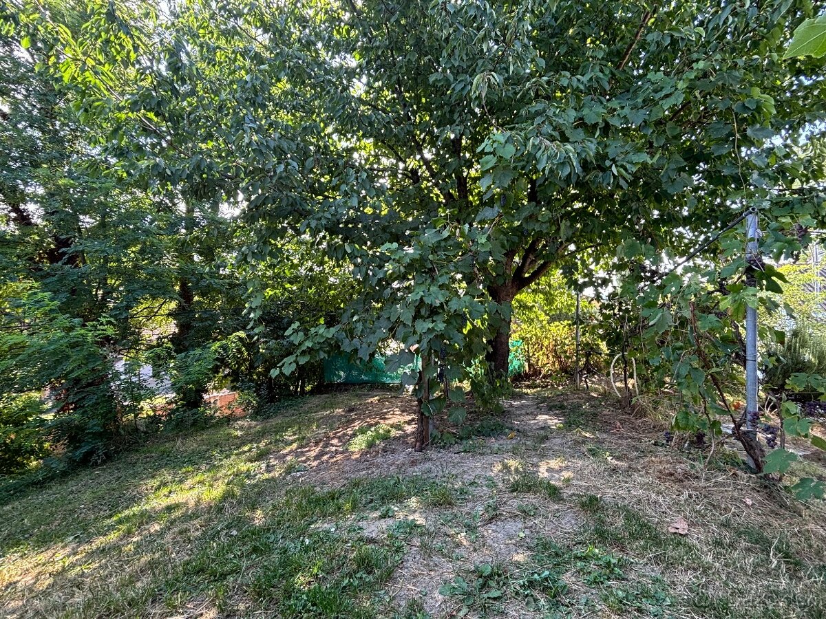 2 vínne pivničky s čarom vidieka na predaj - 13