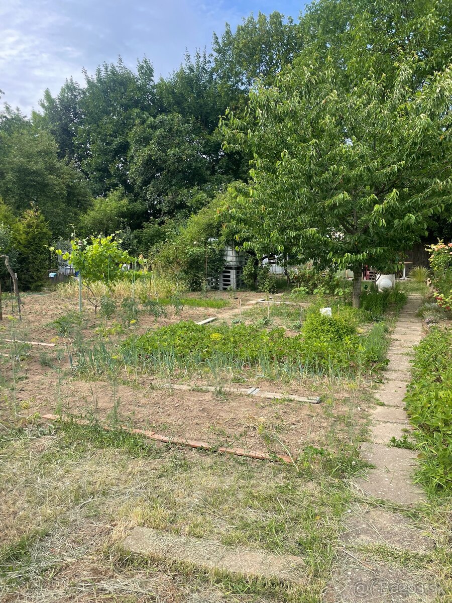 Záhrady - 13