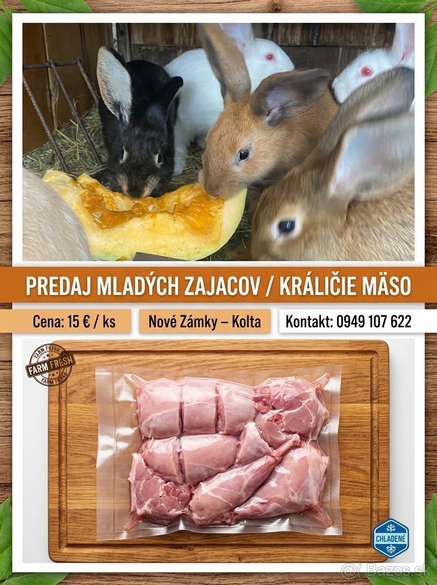 Zajačiky - 13