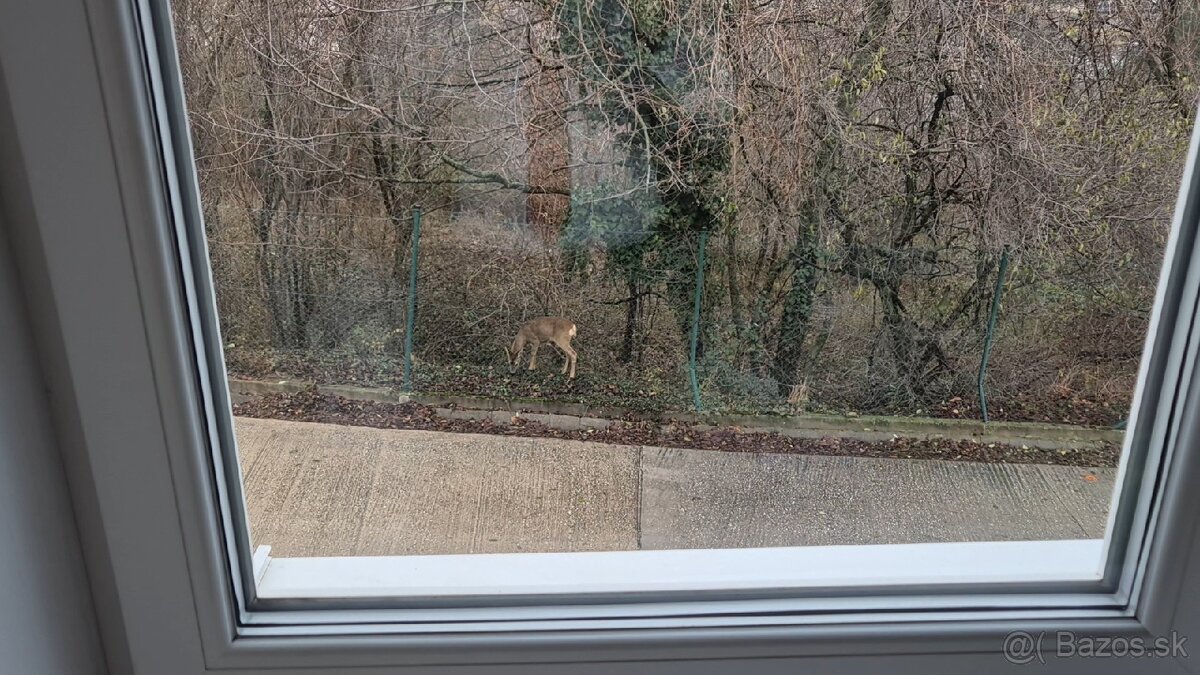Prenájom 3izb. byt Rača, Popolná ul. – foto 8