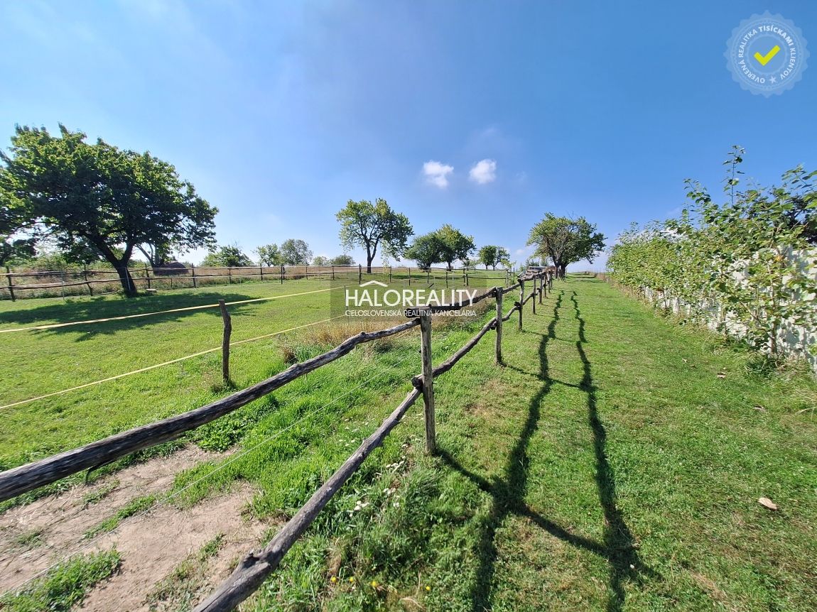 HALO reality - Predaj, rodinný dom Borová, 9.125m2 - EXKLUZÍ - 13