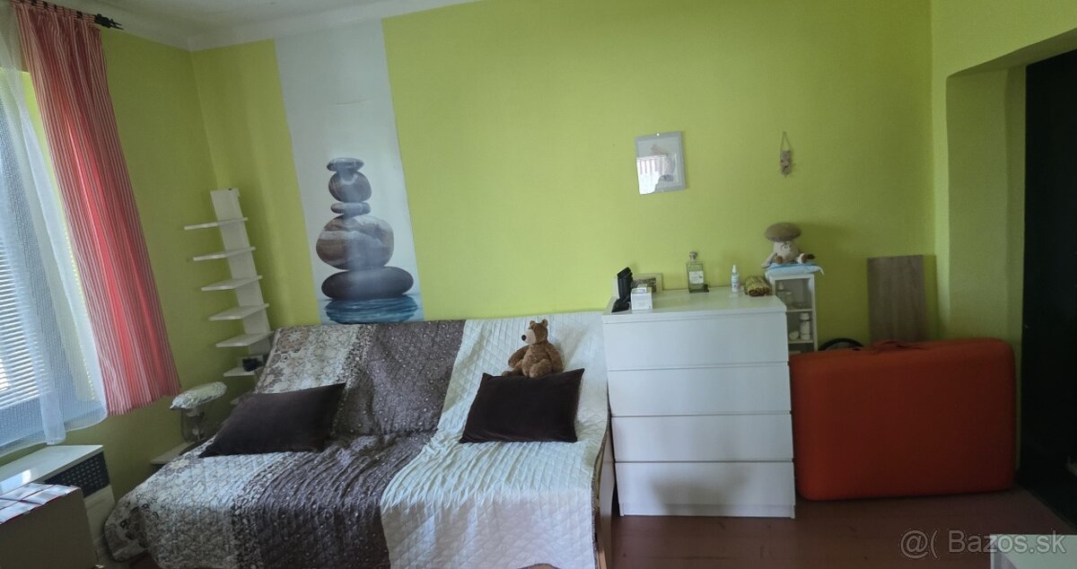 Rodinný dom pri Dunaji s veľkým pozemkom – ideálne bývanie, - 13