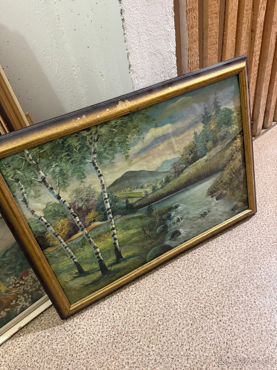 Obrazy na predaj - 13