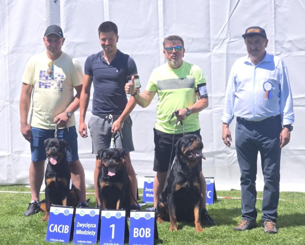 šteniatka rotvajlera - 13