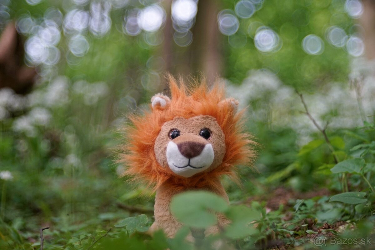 Meyer Optik Gorlitz Trioplan 100mm f2,8 red V EXA - 13