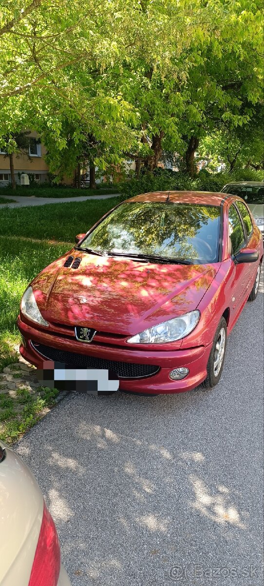 Peugeot 206 - 13