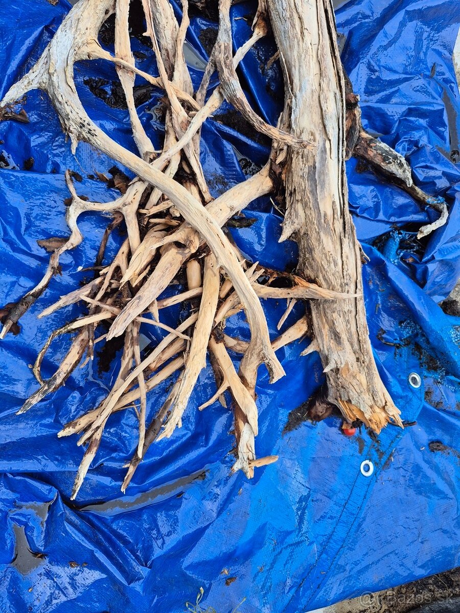 štrk / substrát / tanganika stone - 13