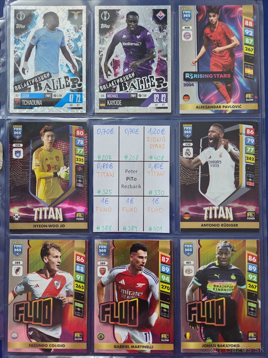 Fotbalove karticky TOPPS, Panini, cast 1/2 - 13
