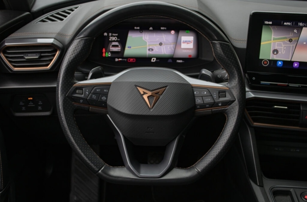 Cupra Formentor 2.0 TDI 4Drive DSG - 13