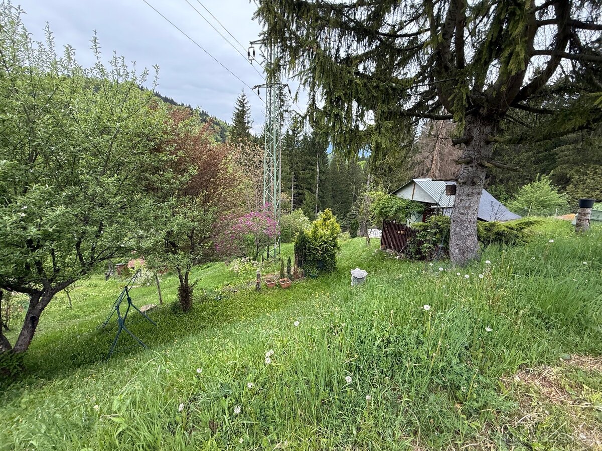 Predaj záhrady s chatkou - 13