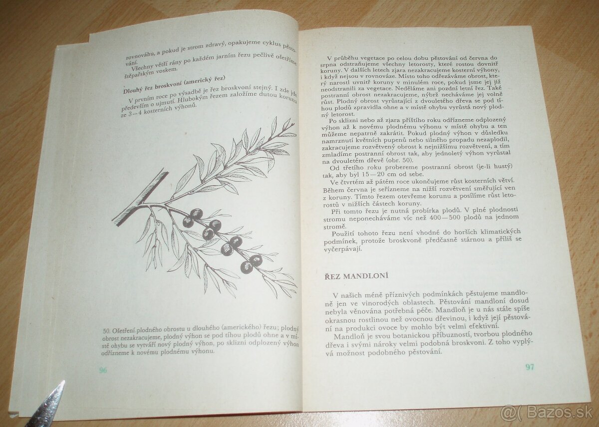 Řez ovoných dřevin - 13