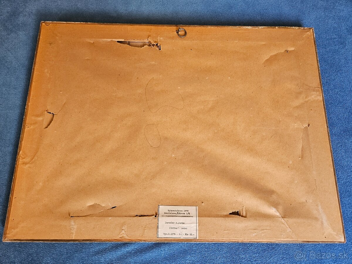 Zbierka obrazov - 13