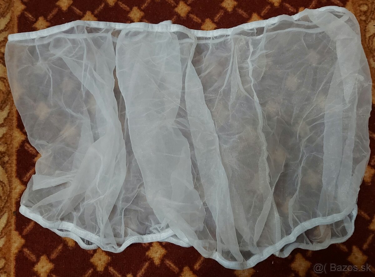 Papagaj, pes,mačka,škrečok - 13