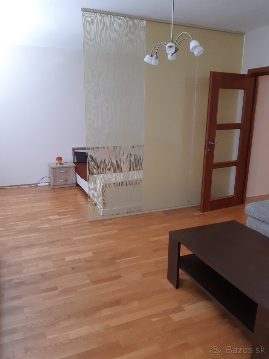 Nájom pre 2-3 osoby, Centrum 450 a 350 €/osobu - 13