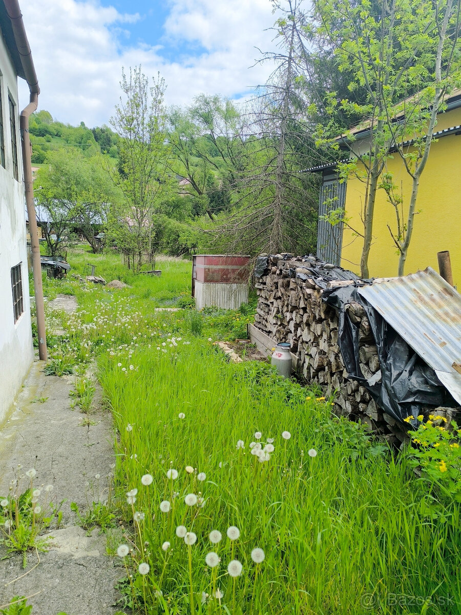 RD VYUŽITEĽNÝ AJ AKO CHALUPA, VHODNÝ NA BÝVANIE PODNIKANIE / - 13