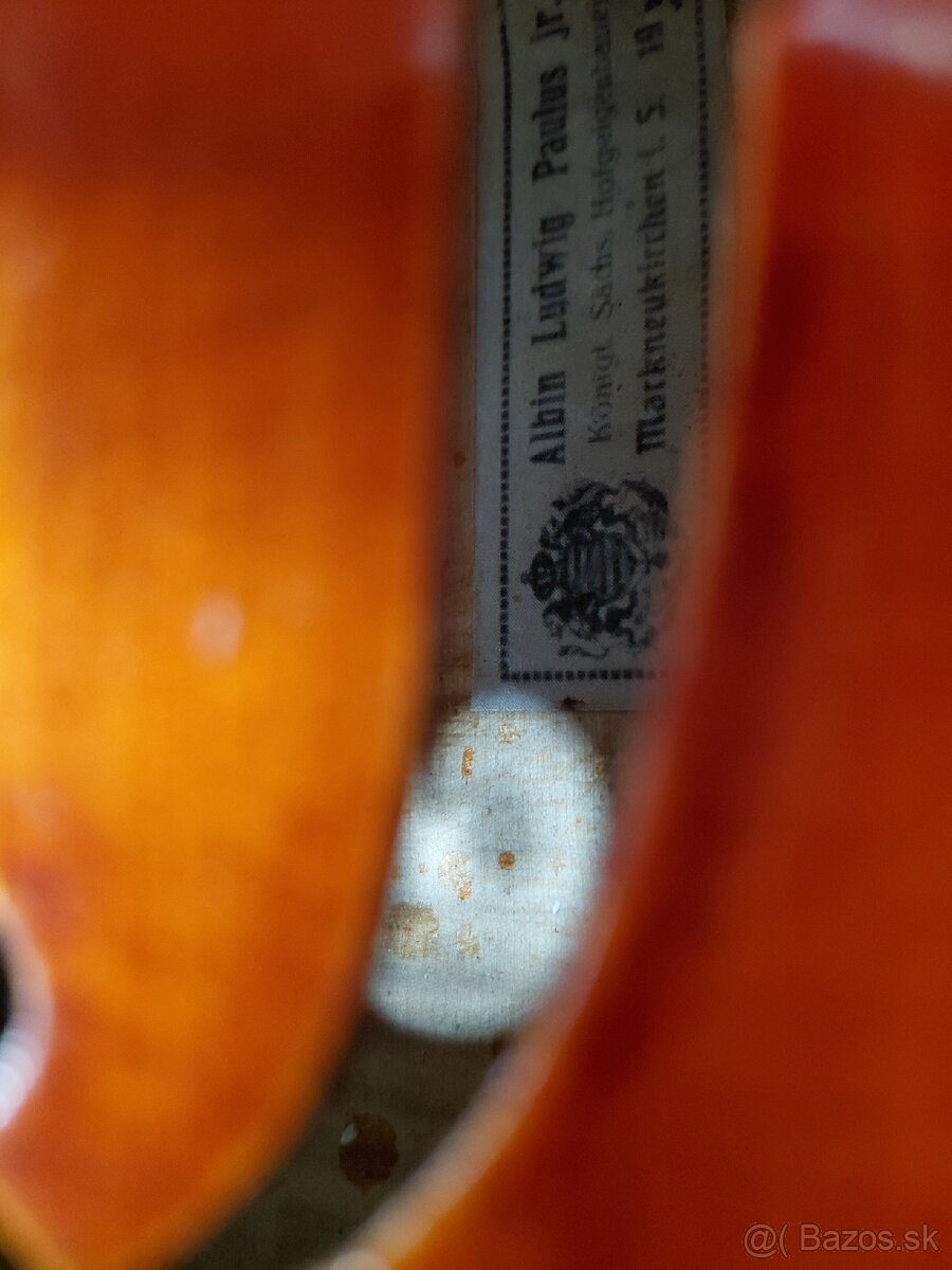 Viola - 13