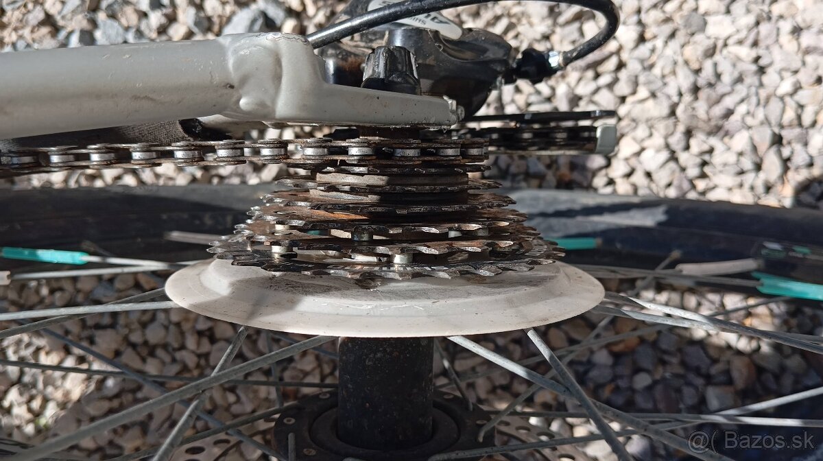 Rock Machine Surge 24 MD - 13