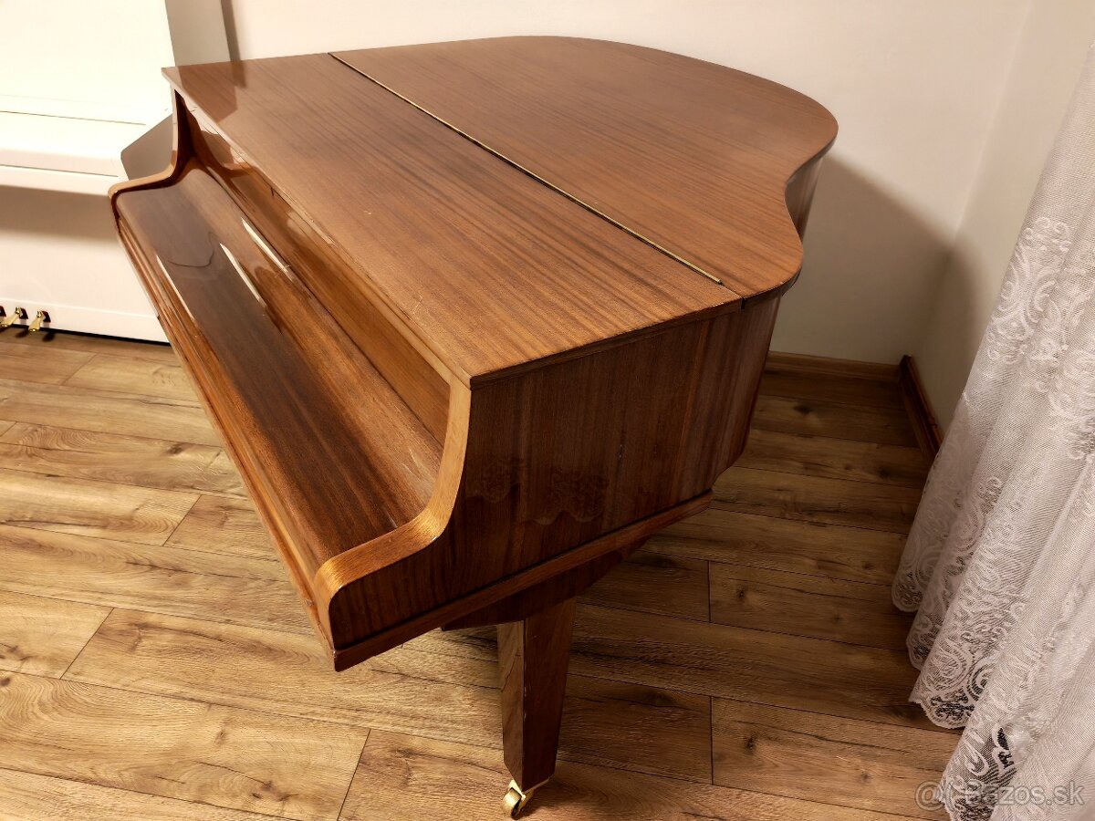 Nepremeškajte Najmenšie klavírne krídlo - 13