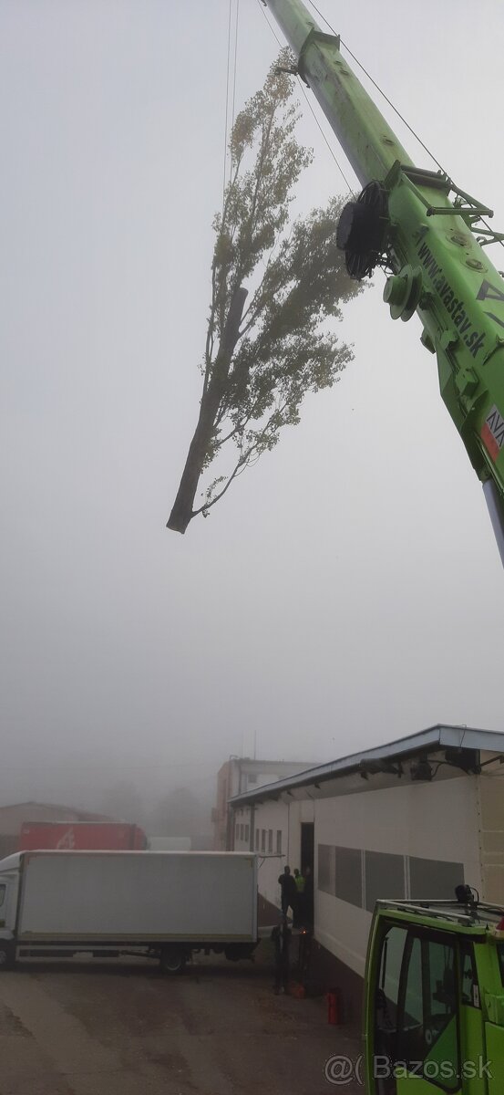 Arboristika, rizikové výruby a orezy stromov - 13