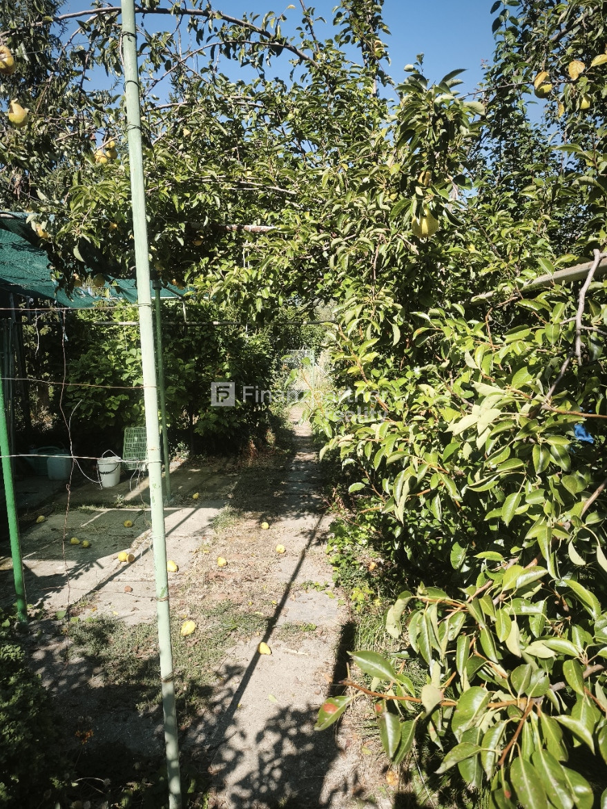 F005-014-CSUD Chata a záhrada v Štúrove - 13
